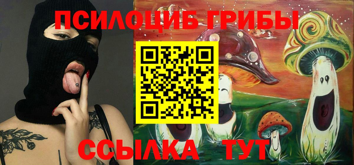 Псилоцибиновые грибы MAGIC MUSHROOMS  цены наркотик  Карталы  Вход с VPN 