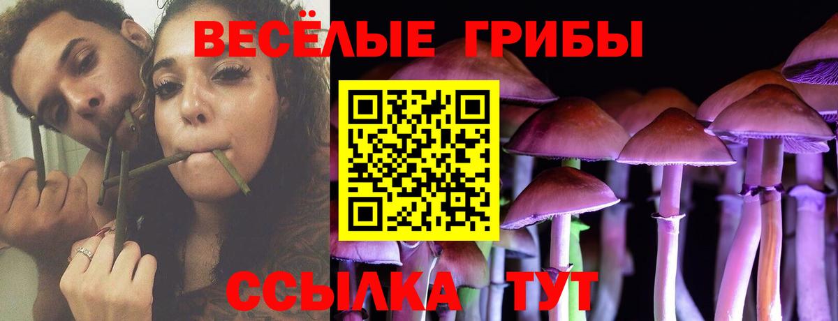 Бошки Шишки  Вход с VPN  Меф   A PVP СОЛЬ кристаллы  Гашиш  Метадон  Карталы  КОКАИН 